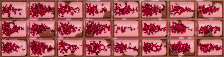 Homemade pink milk chocolate bar with dried berries (strawberry, raspberry, cranberry, cherry) close-up. Top view. Selective focus, banner