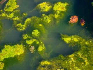 Blue smooth surface of muddy water with a milky tint. Bright natural background.