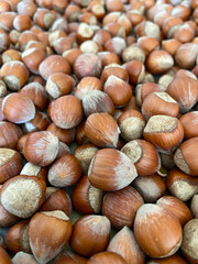 Hazelnuts, background with full of nuts.