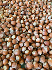 Hazelnuts, background with full of nuts.