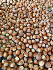 Hazelnuts, background with full of nuts.