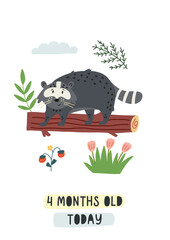 Baby milestone card four months old today. Raccoon on log among the bushes. Nursery Month card for lovely moments newborn. Baby Shower hand drawn doodle vector illustration design