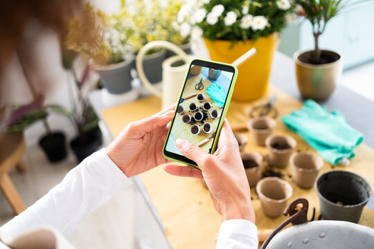 Female florist photographing flower pots through mobile phone at plant shop