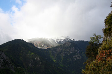 Beautiful mountains overgrown with green trees. Snow-capped mountain peaks in fog and clouds. Mount Olympus, Greece.
