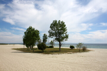 A round small green meadow with trees in the middle of a sandy beach by the sea. Cloudy day in a picturesque place.