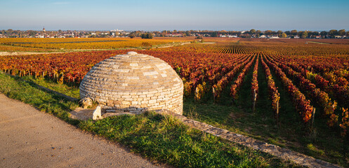 cabane en pierres sèches dans les vignes automnales