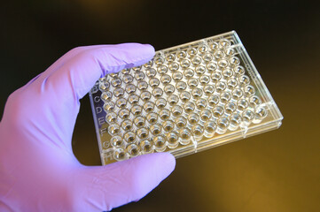 96 well reaction plate and gloved hand.