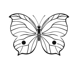 Fototapeta na wymiar Butterfly outline illustration. Black silhouette of beautiful insect, vector icon.