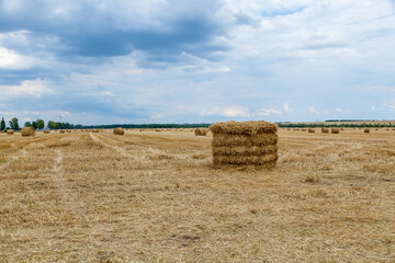 yellow haystacks on the field