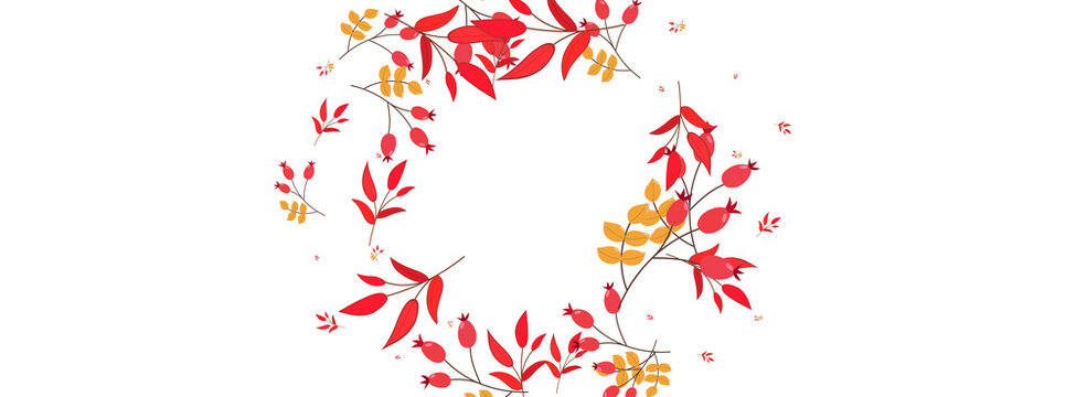 Red Leaves Background White Vector. Berries Simple Card. Pink Leaf Rowan. Organic Texture. Foliage Decorative.