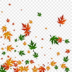 Obraz premium Golden Floral Background Transparent Vector. Foliage Wallpaper Template. Orange Ground. Logo Card. Colorful Plant Isolated.