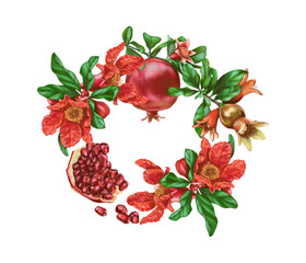 pomegranate fruit set illustrations