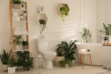 Fototapeta na wymiar Stylish white bathroom interior with toilet bowl and green houseplants