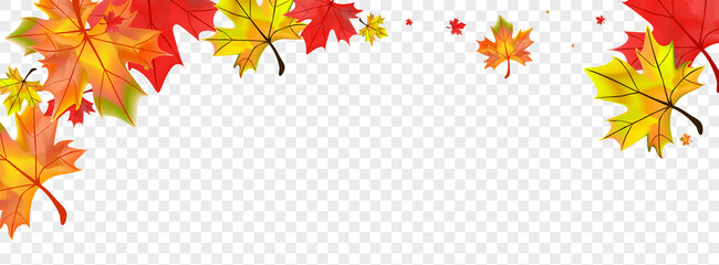 Yellow Foliage Background Transparent Vector. Leaf Bright Card. Orange Decor Floral. Canadian Plant Texture.