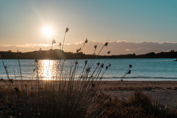 Sunrise in the wetlands of Albufera de Valencia. 