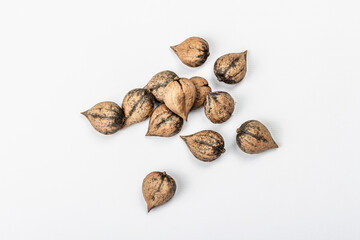 Ripe Juglans cordiformis Maxim or heart-shaped walnut isolated on white background