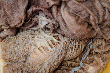 beef stomach for menudo