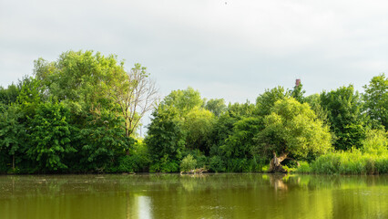 Pond in South Park, Kaliningrad, Russia. Trees and bushes along a pond or river. View from the opposite bank