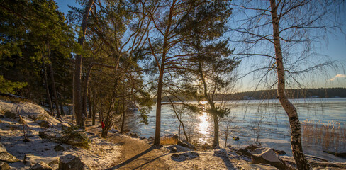 Color full winter sun in solstice reflex in the calm lake Mälaren and trees in silhouette a winter...