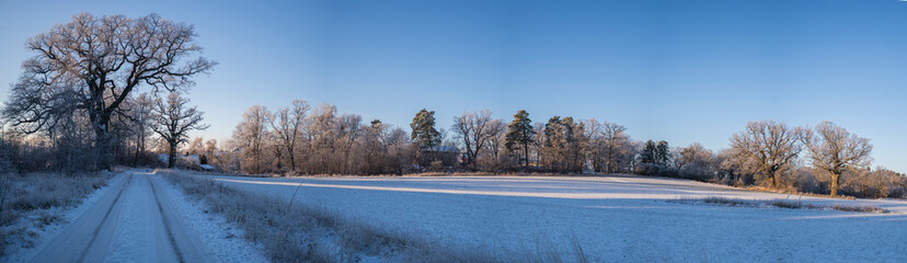 Bare frosty trees at a meadow and a the facade of old 1700s house a cold and sunny pale winter day...