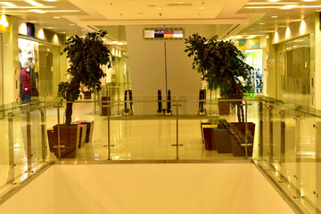 Photo of a store with shiny floors and two decorative trees.