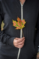 Sexy woman holding colorful leaf 
