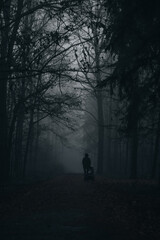 Silhouette walking path in dark forest foggy day mysterious scenery moody autumn