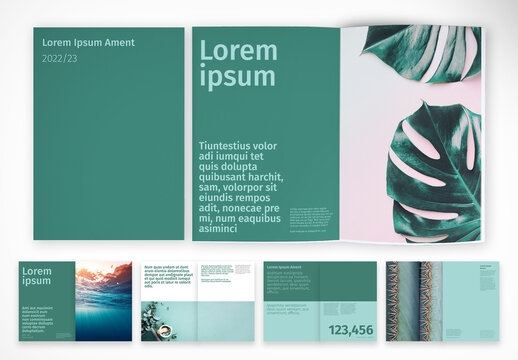 Programmes Advocacy Brochure with Green Accents