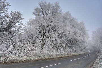 frost covered trees and icy road