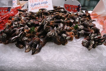 Valencia Markthalle Percebes