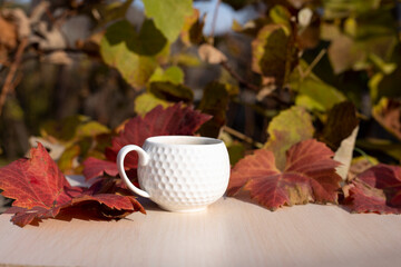 Naklejka na ściany i meble Coffee on wood table nature background in garden