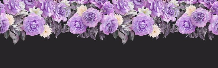 Floral banner, header with copy space. Pink roses, white hyacinth isolated on dark grey background. Natural flowers wallpaper or greeting card.