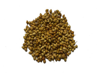 Pile of coriander seeds isolated on white background - Top view