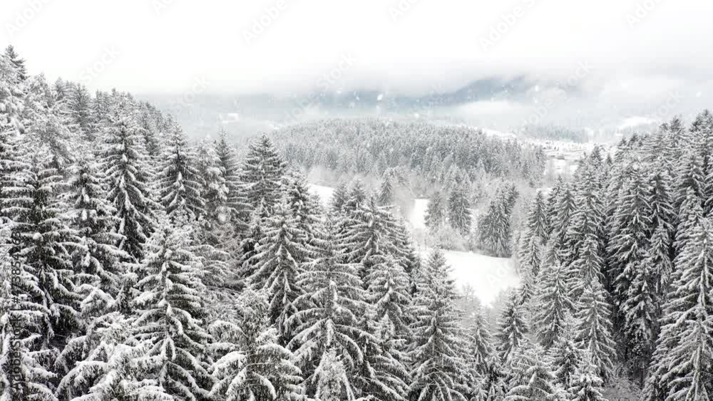 Poster cold winter forest trees snowy landscape with snowfall seamless loop nature background.