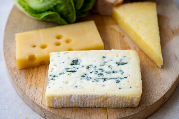 Cheese collection, French fol epi  cheese with many little holes, etorki, tomme noire des pyrenees and ossau iraty cheese