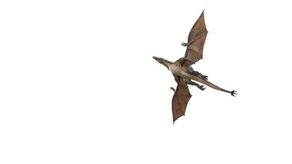 Wyvern Rex Slow Fly Animation Cinematic video, 3d rendering