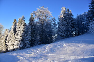 Skrzyczne Peak, Beskidy Mountains, Poland, winter, snow,
