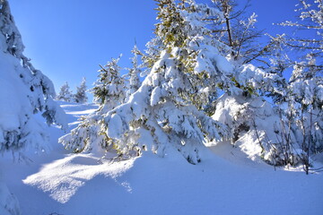 Skrzyczne Peak, Beskidy Mountains, Poland, winter, snow,