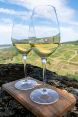 Tasting of white or jaune Jura wine on vineyards near Chateau-Chalon village in Jura region, France
