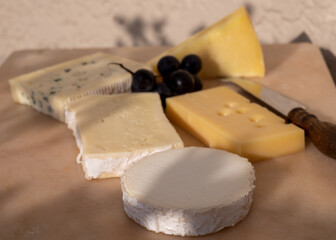 French cheese collection on marble board, emmental, carre de aurillac, petit cantal AOP Jeune, buche chevre, brie