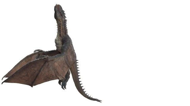 Wyvern Rex Slow Fly Animation Cinematic video, 3d rendering