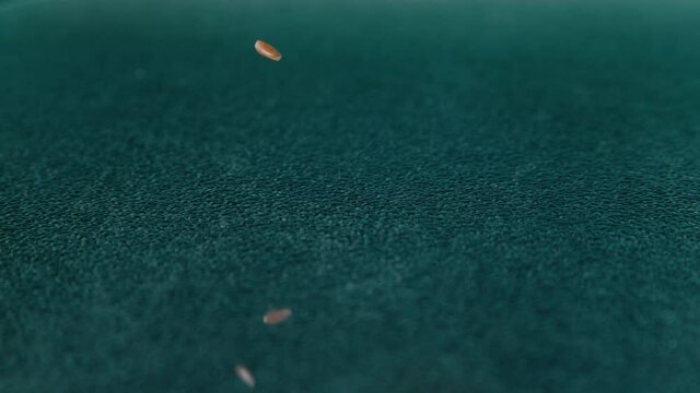 SLOW MOTION, MACRO, DOF: Cinematic shot of a handful of flax seeds gets scattered across a polished kitchen countertop. Reddish brown flaxseeds fall down and bounce around the shiny dining table.