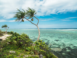 South coast of Zanzibar at low tide