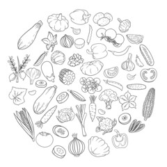 Vector vegetables icons in line style. Big set.