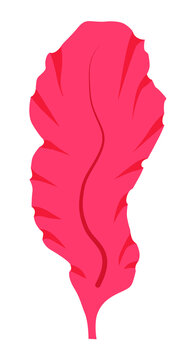 Red algae porphyry (Porphyra) on a white background logo icon