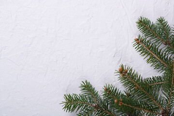 Christmas background with fir branches white board. Top view