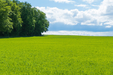 Obraz premium Idyllische Landschaft