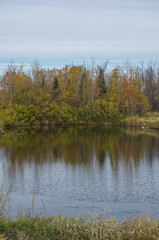 Fototapeta na wymiar Pylypow Wetlands on a Cloudy Autumn Day