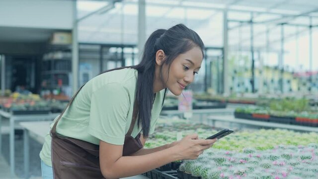 Business concept of 4k Resolution. Asian woman taking pictures of cactus in the garden. Selling products online with a mobile phone.