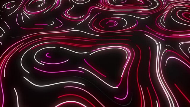 Topographic pattern of neon lines. Motion. Pattern of moving neon lines in style of topographic map. Oval curved lines move slowly creating ornament